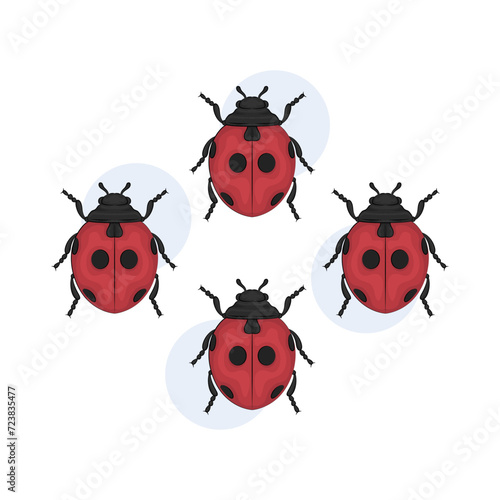 Illustration of ladybug  © ZulfaHusein