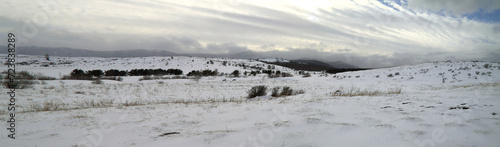 Panorama of a winter cloudy landscape