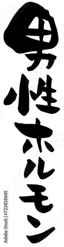 筆文字「男性ホルモン」縦書き
