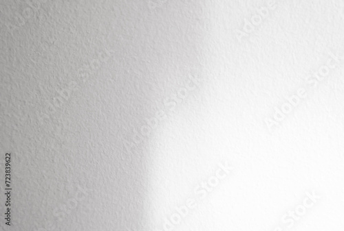 White Wall Background,Concrete Texture with Leaves Shadow,Empty grey Cement room with Sunlight reflect on white plaster paint,Light effect for Monochrome photo, mockup, Product Design presentation