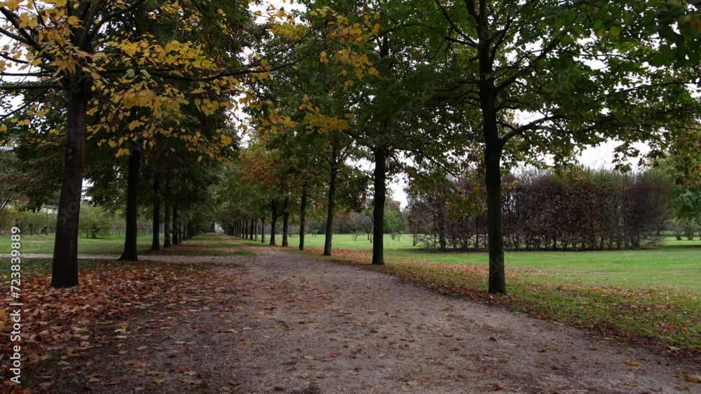 Tree-lined landscape with autumn colors. Tree-lined landscape with autumn colors.