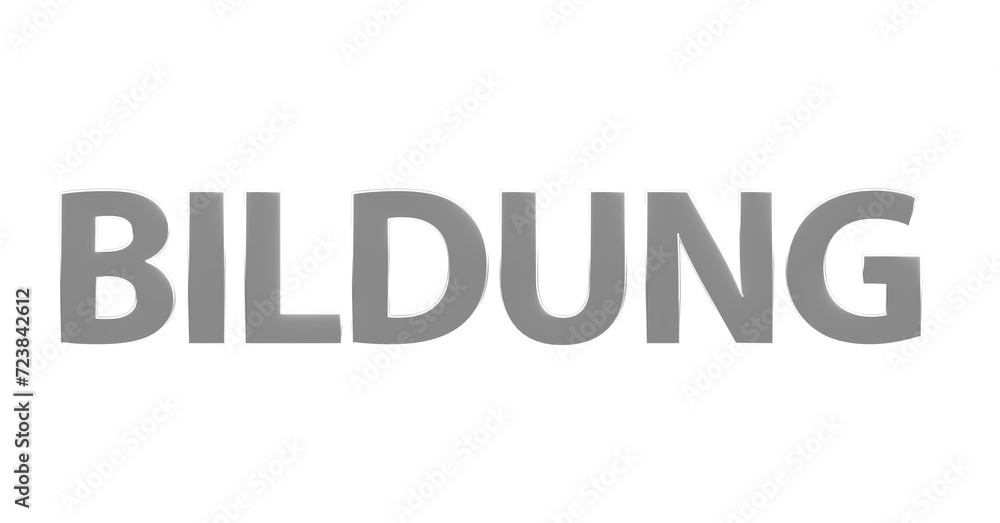 Bildung - silberne plakative 3D-Schrift, Lernen, Schule, Studium, Ausbildung, Weiterbildung, Bildungssystem, Pädagogik, Wissen, Unterricht, Karriere, Rendering, Freisteller Bildung - silberne plakative 3D-Schrift, Lernen, Schule, Studium, Ausbildung, Weiterbildung, Bildungssystem, Pädagogik, Wissen, Unterricht, Karriere, Rendering, Freisteller