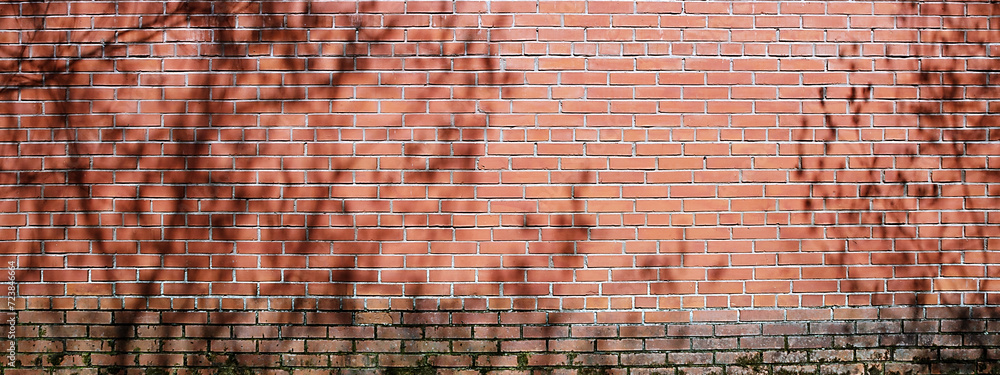 Obraz premium shadow of leaf on brick wall background