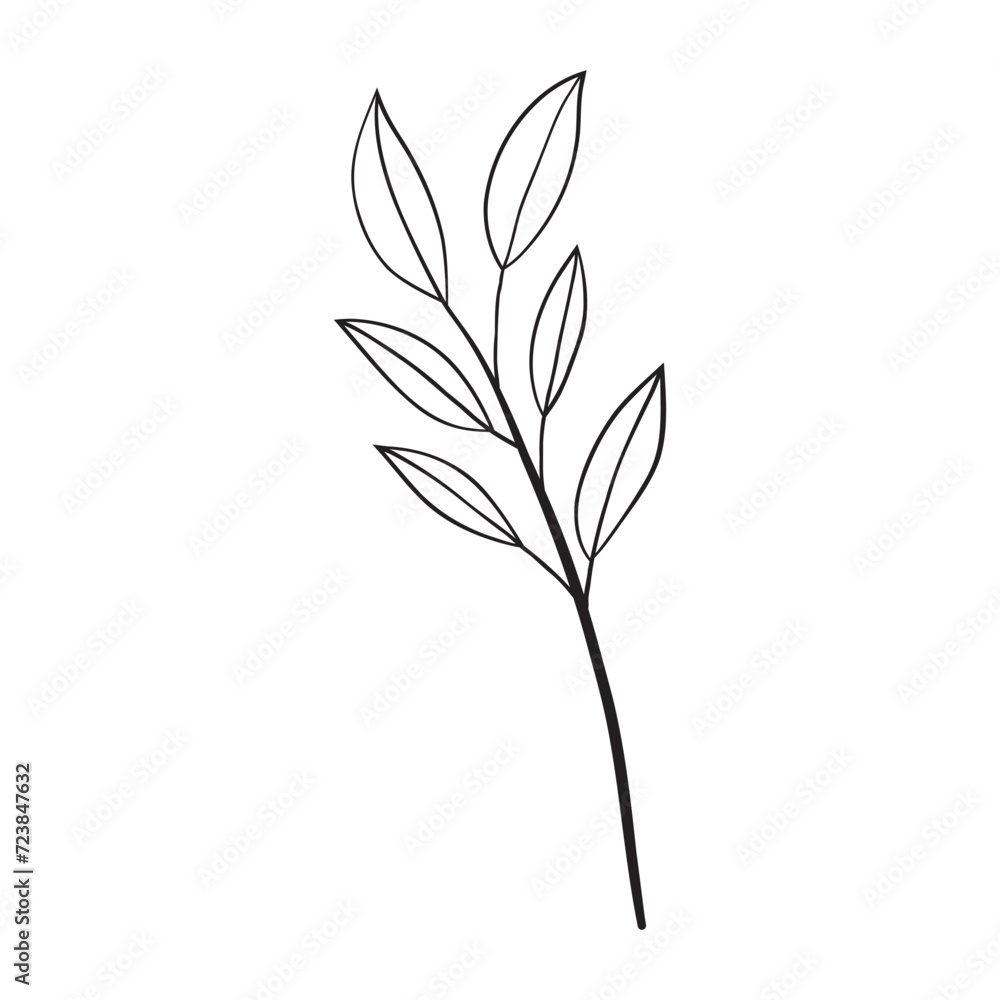 Hand drawing art of leaf. Vector illustration.