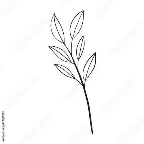 Hand drawing art of leaf. Vector illustration.