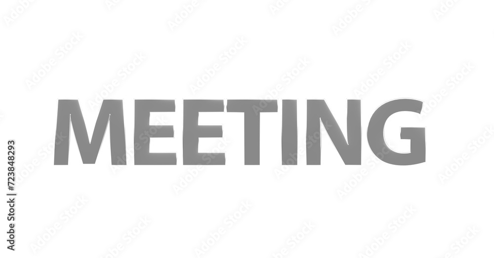 Meeting - silberne plakative 3D-Schrift, Besprechung, Planung, Agenda, Sitzung, Besprechungsraum, Team, Effizienz, Rendering, Freisteller Meeting - silberne plakative 3D-Schrift, Besprechung, Planung, Agenda, Sitzung, Besprechungsraum, Team, Effizienz, Rendering, Freisteller