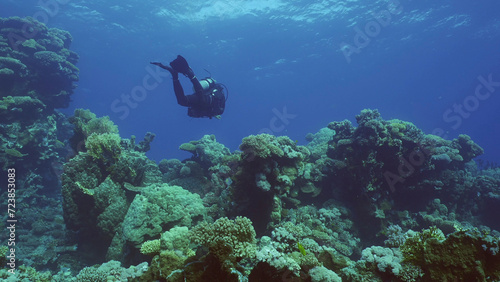 Scuba diver swims in the blue deep on coral garden, Red sea, Safaga, Egypt © Andriy Nekrasov