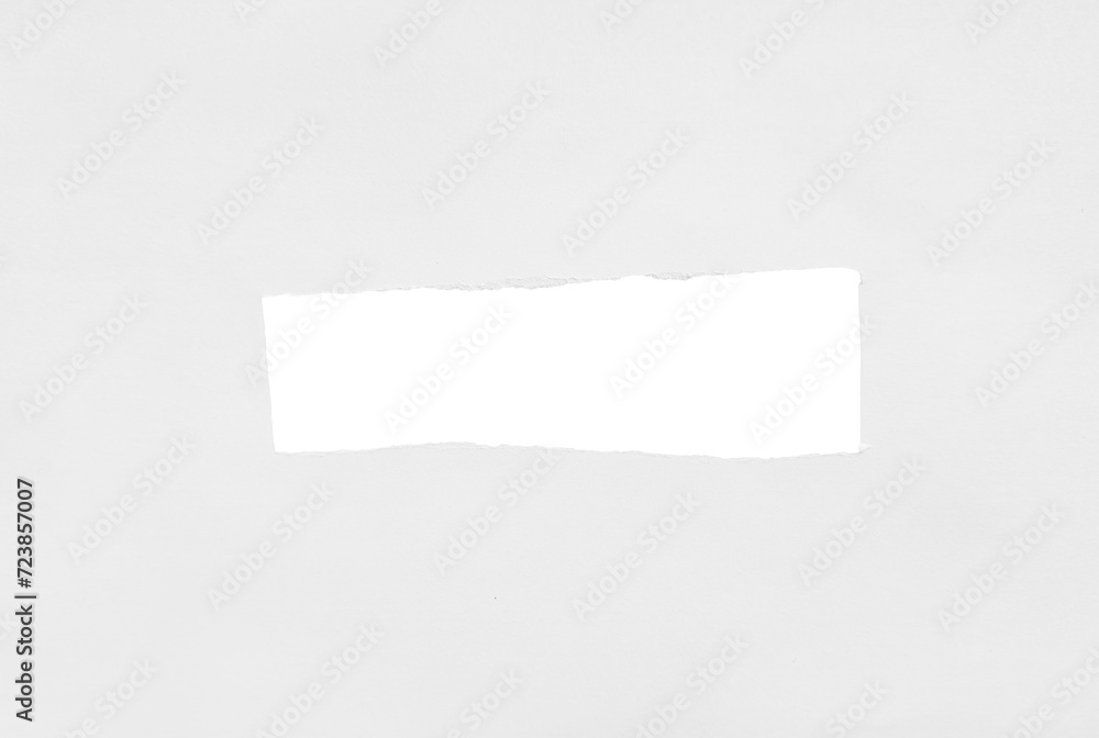 White Torn Paper Background White Torn Paper Background