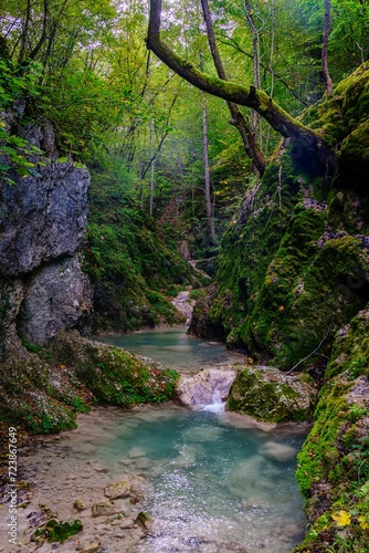 Banjski potok - Dučalovački potok, Cacak, Serbia