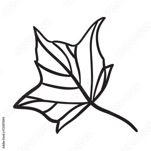 Hand drawing art of leaf. Vector illustration.