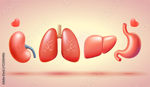 Human organs, lungs, stomach, kidneys and liver. 3d vector, suitable for donor day, health and education