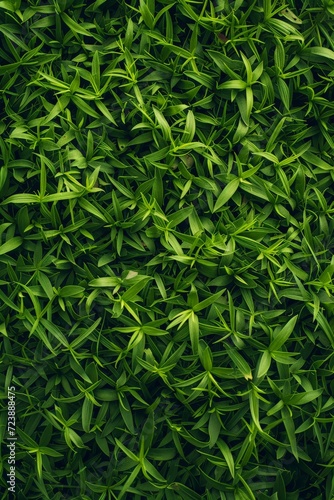 Background Texture of Grass in the Style of Isometric Carpetpunk Resolution Realistic Minimalist Grass Wallpaper created with Generative AI Technology