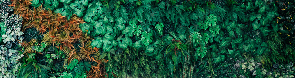 Obraz premium Close up group of background green leaves texture and Abstract Nature Background. Lush Foliage Textures. Exotic Greenery and Botanical Patterns.