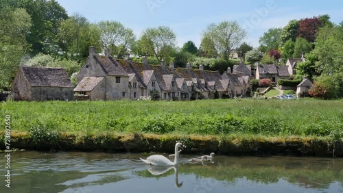 White Swans swimming in front of old village Bibury in England photo