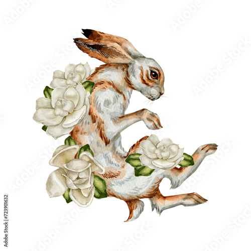 Watercolor vintage hare with magnolia clipart Illustration © alinaosadchenko