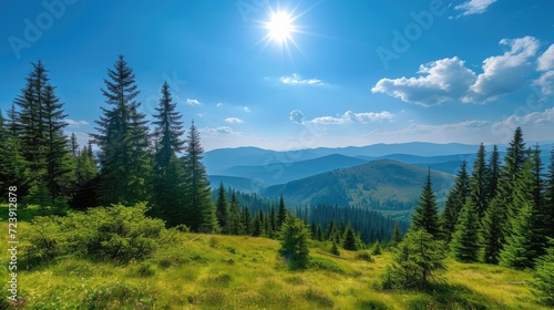 Magnificent panoramic view the coniferous forest on the mighty Carpathians Mountains and beautiful blue sky background. Beauty of wild virgin Ukrainian nature. 