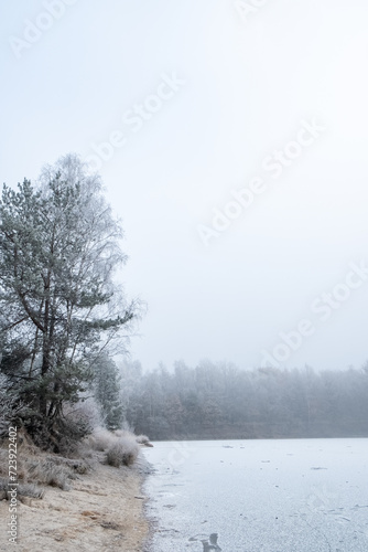 In this tranquil scene, a frost-coated tree stands by the edge of a lake, its branches heavy with winter's delicate touch. The surrounding landscape is wrapped in a soft, white haze, with the distant