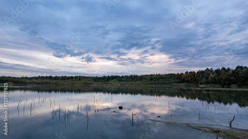 This image is a serene portrayal of a wetland at twilight. The reflection of the twilight sky  with its blend of subtle blues and grays  is mirrored perfectly in the water s surface. The horizon is