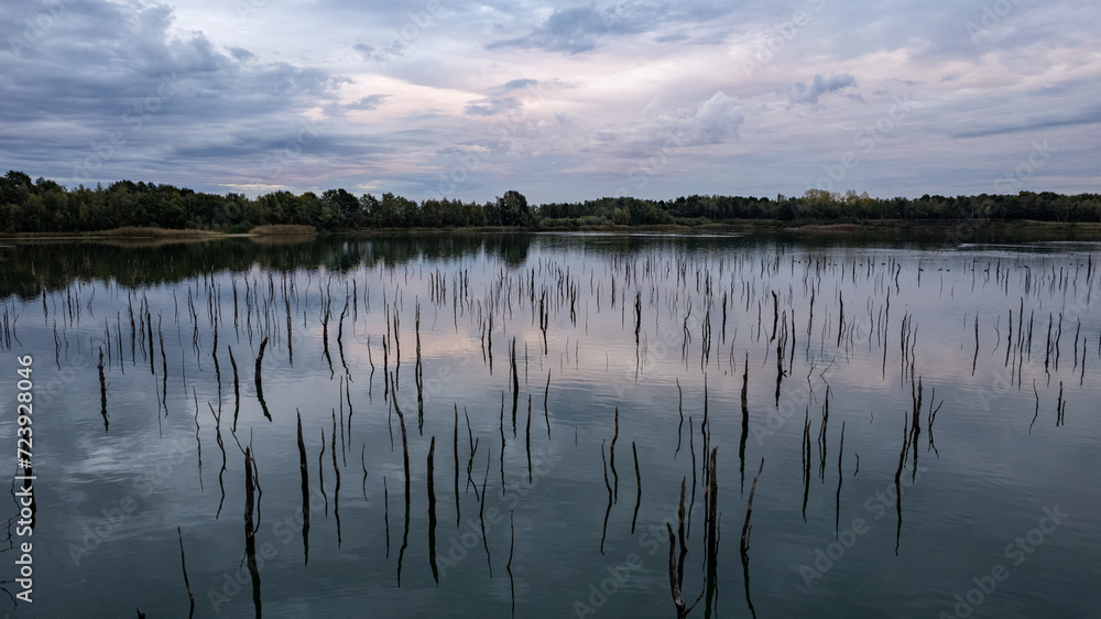 Extended Description: This image captures a tranquil wetland scene at dusk. The sky, painted with soft hues of blue and a hint of sunset pink, reflects upon the still waters. Bare tree branches