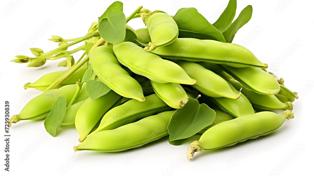 A heap of fresh harvested Vicia faba, also known as broad bean, fava bean, or faba bean isolated. - obrazy, fototapety, plakaty 