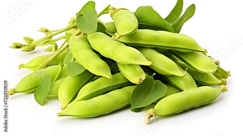 A heap of fresh harvested Vicia faba, also known as broad bean, fava bean, or faba bean isolated.