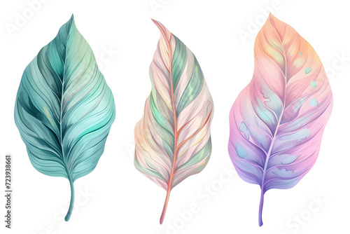 Tropical leaves collection  in watercolor style isolated on  white background