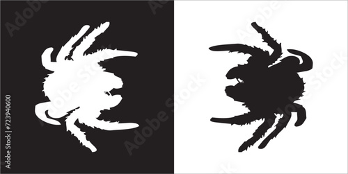 Illustration vector graphics of spider icon