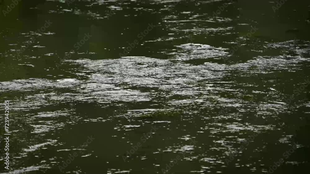 A 4K vid of water flowing through a beautiful lush green river through a nature reserve with stunning willow tree leaves hanging in the water. a very tranquil scene showing the beauty in nature A 4K vid of water flowing through a beautiful lush green river through a nature reserve with stunning willow tree leaves hanging in the water. a very tranquil scene showing the beauty in nature