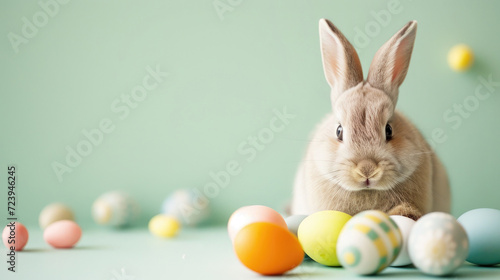 Cute bunny with colorful Easter traditional eggs, copy space
