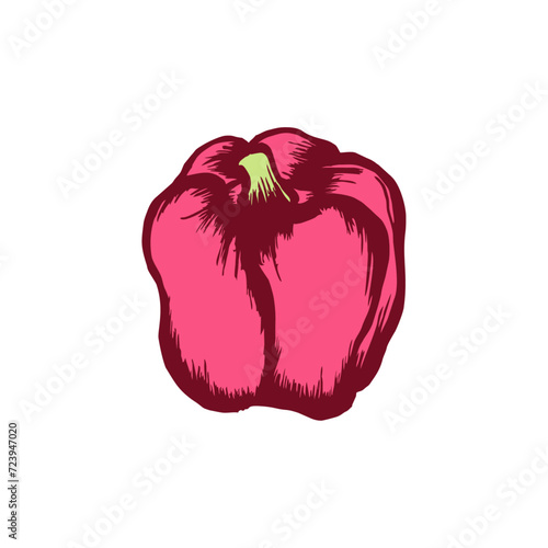 Red Pepper illustration