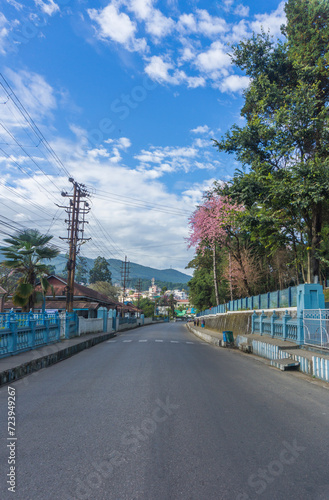 Cherryblossoms aka Sakura Cherry during autumn in Shillong