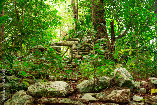 ruins of a stone structure in the dense shady tropical jungle of the Yucatan