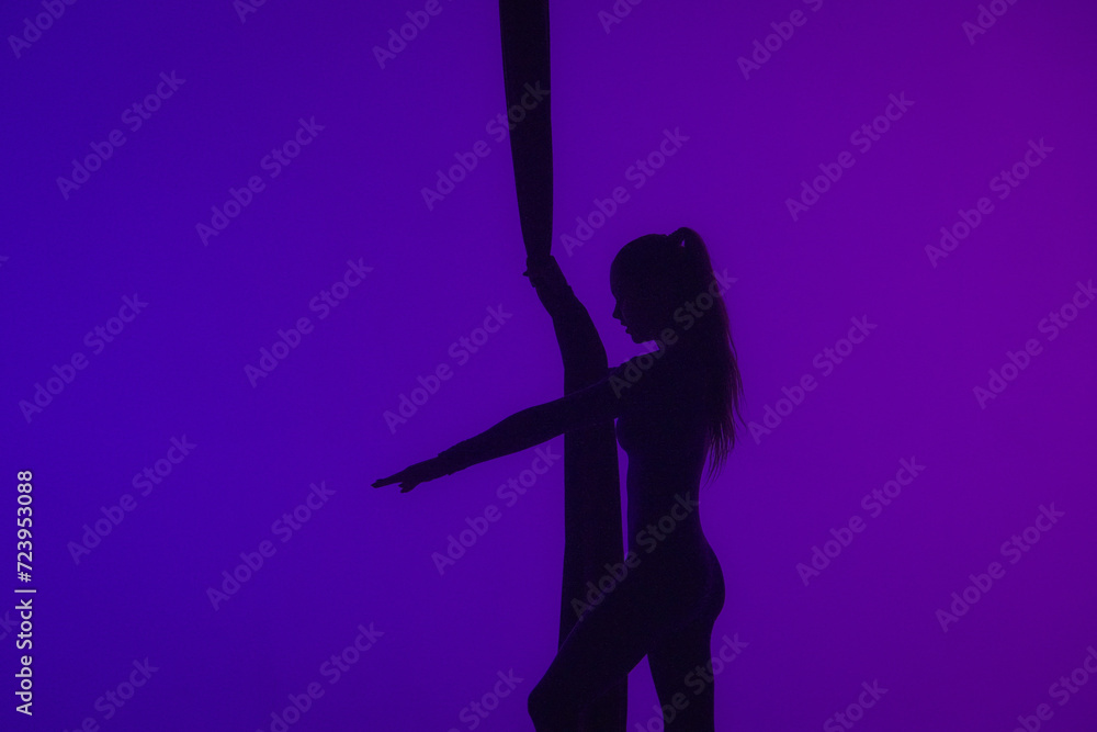 Silhouette of female acrobat isolated on colorful neon background. Girl aerial dancer performing acrobatic element on air silk.