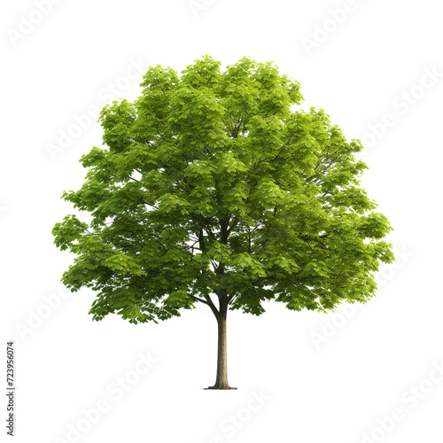 Green tree clip art