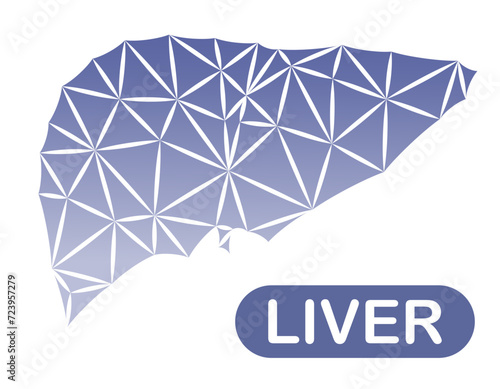Illustration of a human liver with faceted sides. Triangular geometric effect.