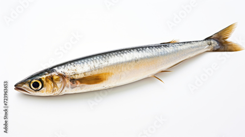 Fish - A Peruvian Anchoveta on a white background