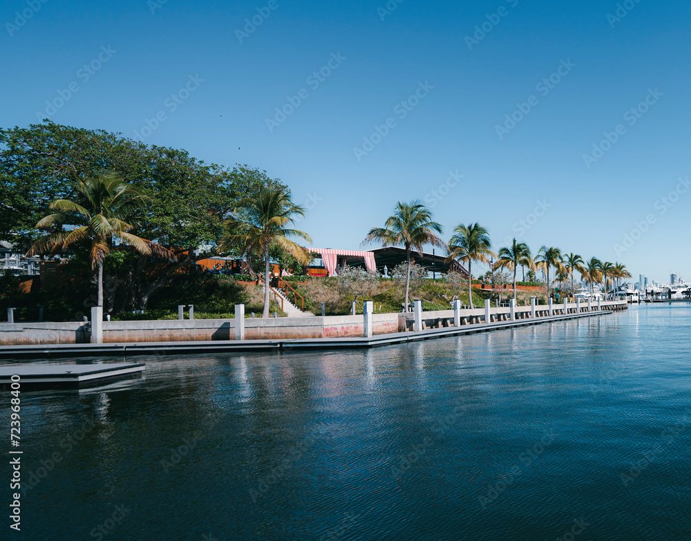 resort views palms sea Coconut Grove Miami 
