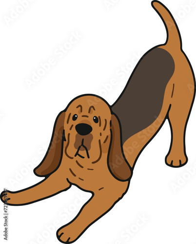 Simple and cute playful Bloodhound illustration