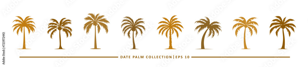 date palm icon collection - flat design icon date palm icon collection - flat design icon