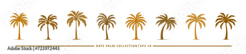 date palm icon collection - flat design icon