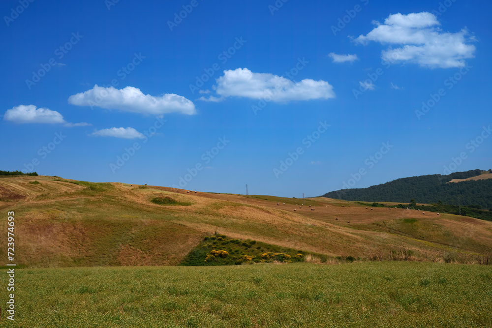 Country landscape near Tricarico and San Chirico, Basilicata, Italy