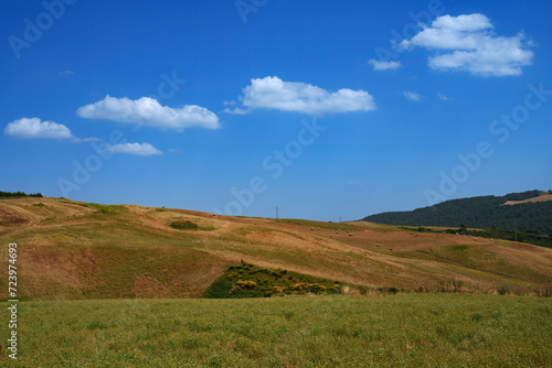 Country landscape near Tricarico and San Chirico, Basilicata, Italy © Claudio Colombo