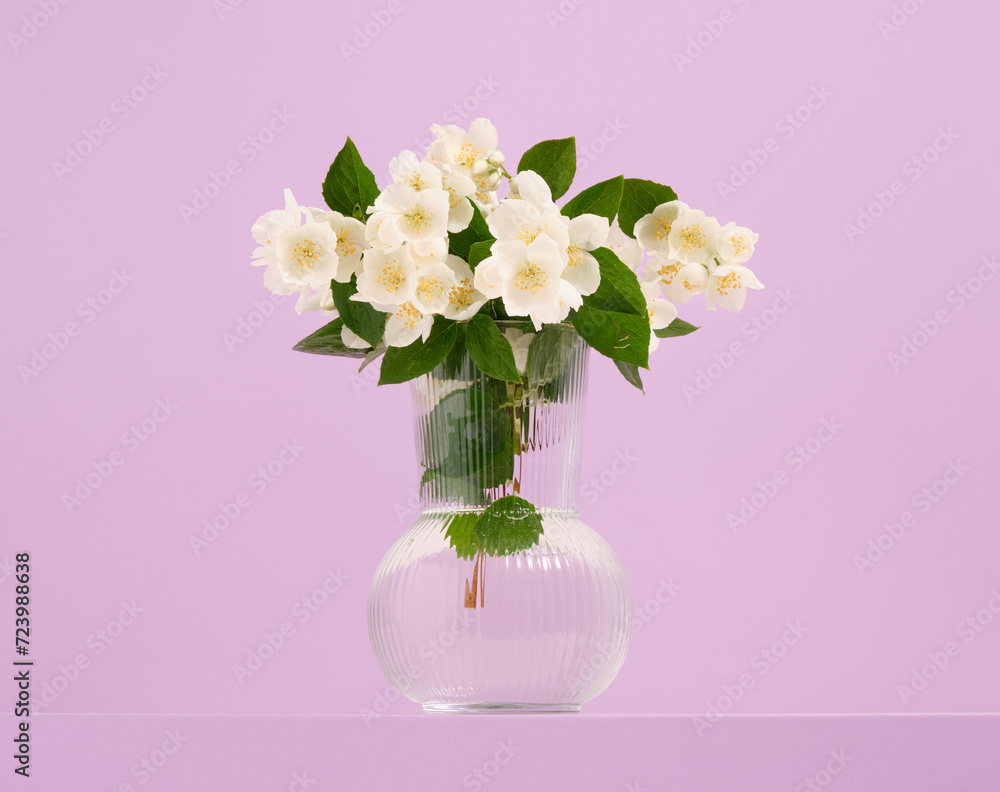 Spring jasmine flowers in an elegant glass vase. Gardening and ecology concept.