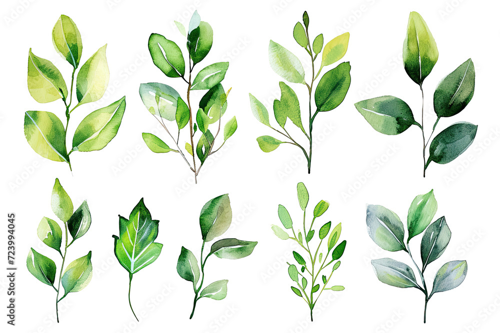Set of Watercolor Tropical spring green leaves elements set isolated on transparent background, bouquets greeting or wedding card invitation, decoration clip art mock up. Set of Watercolor Tropical spring green leaves elements set isolated on transparent background, bouquets greeting or wedding card invitation, decoration clip art mock up.