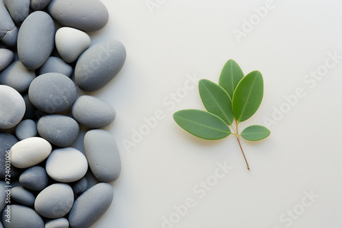 Green plant on white pebbles background with space for text. Minimal concept. Flat lay, top view. Copy space. Spa stones