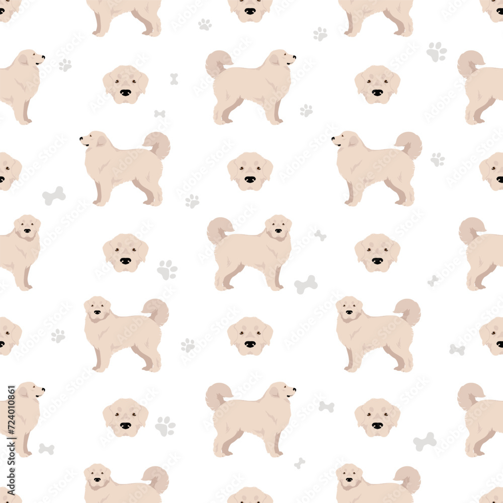 Polish Tatra Sheepdog seamless pattern. All coat colors set