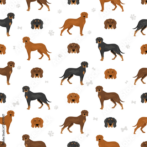 Polish Hunting dog seamless pattern. All coat colors set.  All dog breeds characteristics