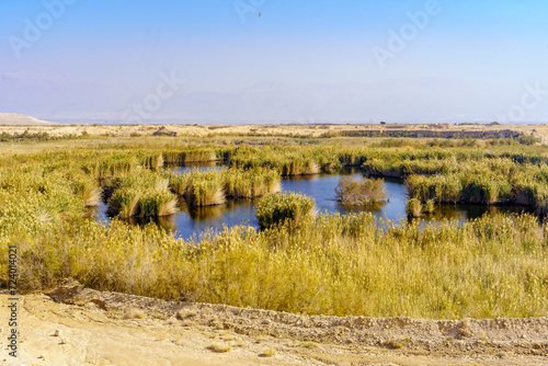 Sodom Salt Marshes bird sanctuary