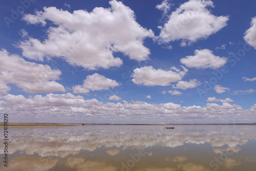 clouds reflects in a lake in Amboseli NP