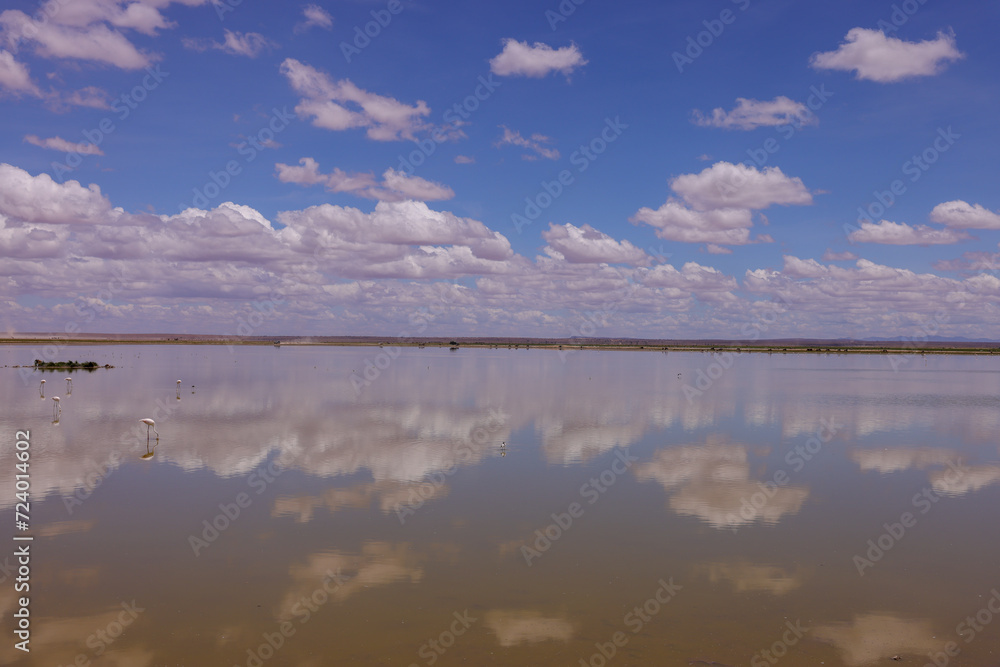 clouds reflects in a lake in Amboseli NP clouds reflects in a lake in Amboseli NP